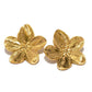 Elegante Arden Oorbellen in Stralend Goud